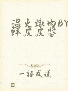 温火炖肉BY海鲜皮皮酱