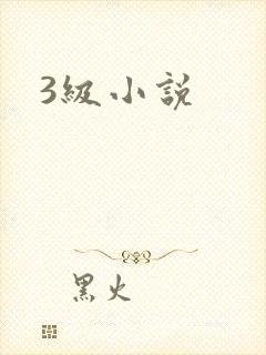 3级小说