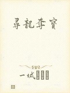 寻龙夺宝