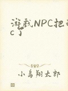 游戏NPC把我c了