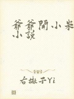 爷爷开小米的包小说