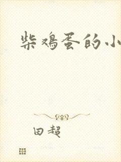柴鸡蛋的小说