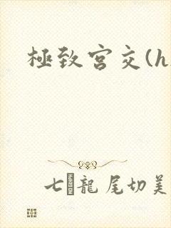 极致宫交(h)