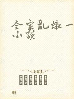 全家乱炖一锅烩小说
