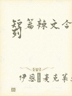 短篇辣文合集系列