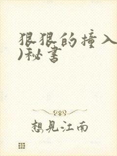 狠狠的撞入(h)秘书