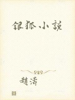 银狐小说