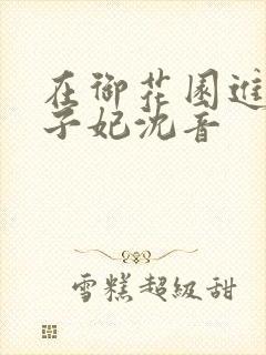 在御花园进入太子妃沈音