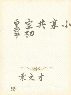 皇家共享小公主宁初