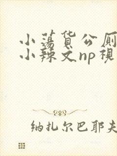 小荡货公厕h文小辣文np视频