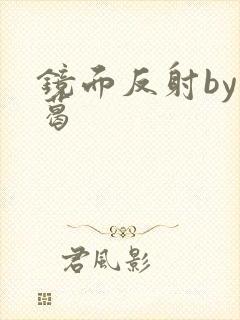 镜面反射by九葛