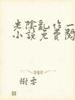 光阴乱作一团的小说免费阅读