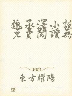 魏承泽小说全文免费阅读无弹窗笔趣