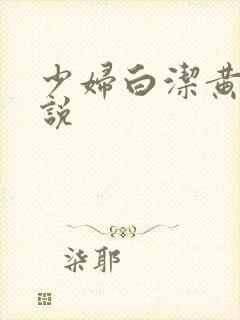 少妇白洁黄色小说