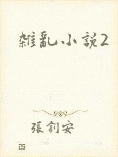 杂乱小说2