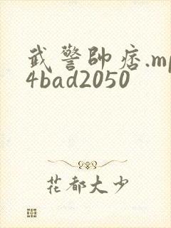 武警帅痞.mp4bad2050