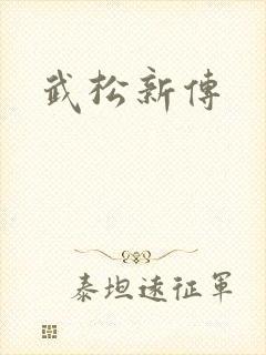 武松新传