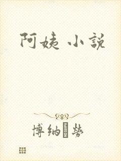 阿姨 小说