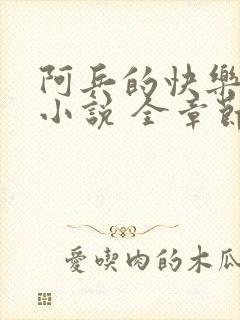 阿兵的快乐生活小说 全章节阅读免费