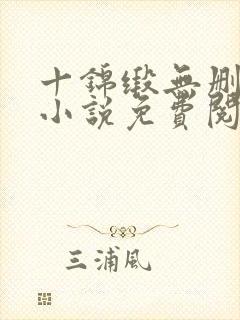 十锦缎无删原著小说免费阅读