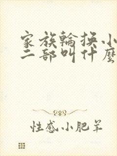 家族轮换小说第二部叫什么名字