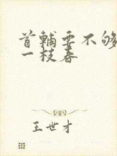 首辅要不够po一枝春