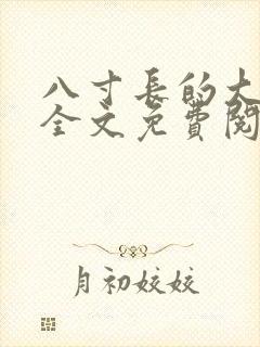 八寸长的大宝贝全文免费阅读