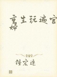 重生玩遍官场贵妇