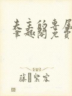 夫主的专属妻奴笔趣阁免费阅读