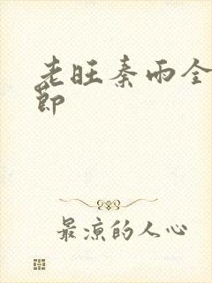 老旺秦雨全部章节