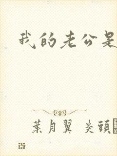 我的老公是冥王