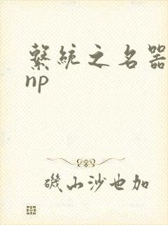 系统之名器攻略np