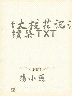 t大校花沉浮录续集TXT
