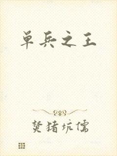 单兵之王