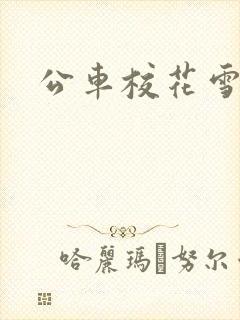 公车校花雪柔h