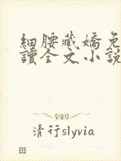 细腰藏娇免费阅读全文小说苏珞浅