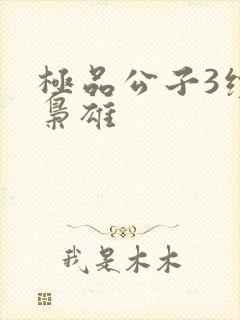 极品公子3续世枭雄