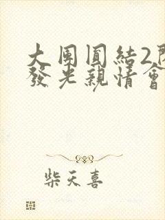 大团圆结2闪闪发光亲情会