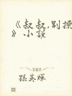 《叔叔,别撩我》小说