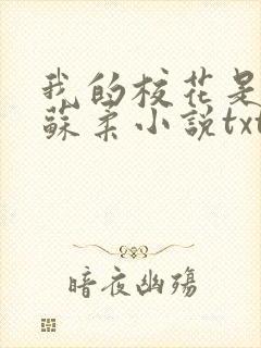 我的校花是福姬苏柔小说txt