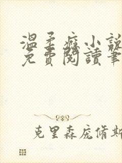 温柔瘾小说全文免费阅读笔趣阁