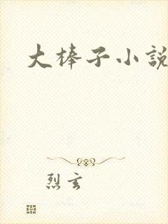 大棒子小说