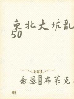 东北大坑乱1—50