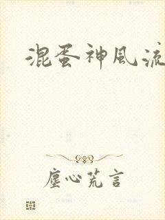 混蛋神风流史补