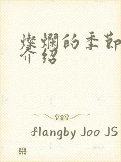 灿烂的季节剧情介绍