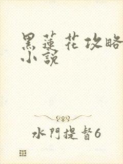 黑莲花攻略手册小说