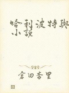 哈利波特与密室小说