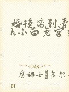 婚后脔到青梅哭h小白兔宫交h