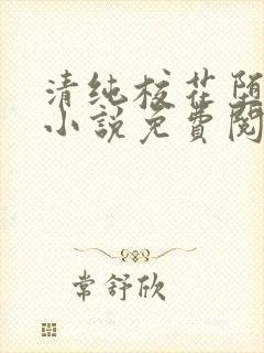 清纯校花堕落记小说免费阅读