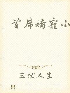 首席娇宠小情人